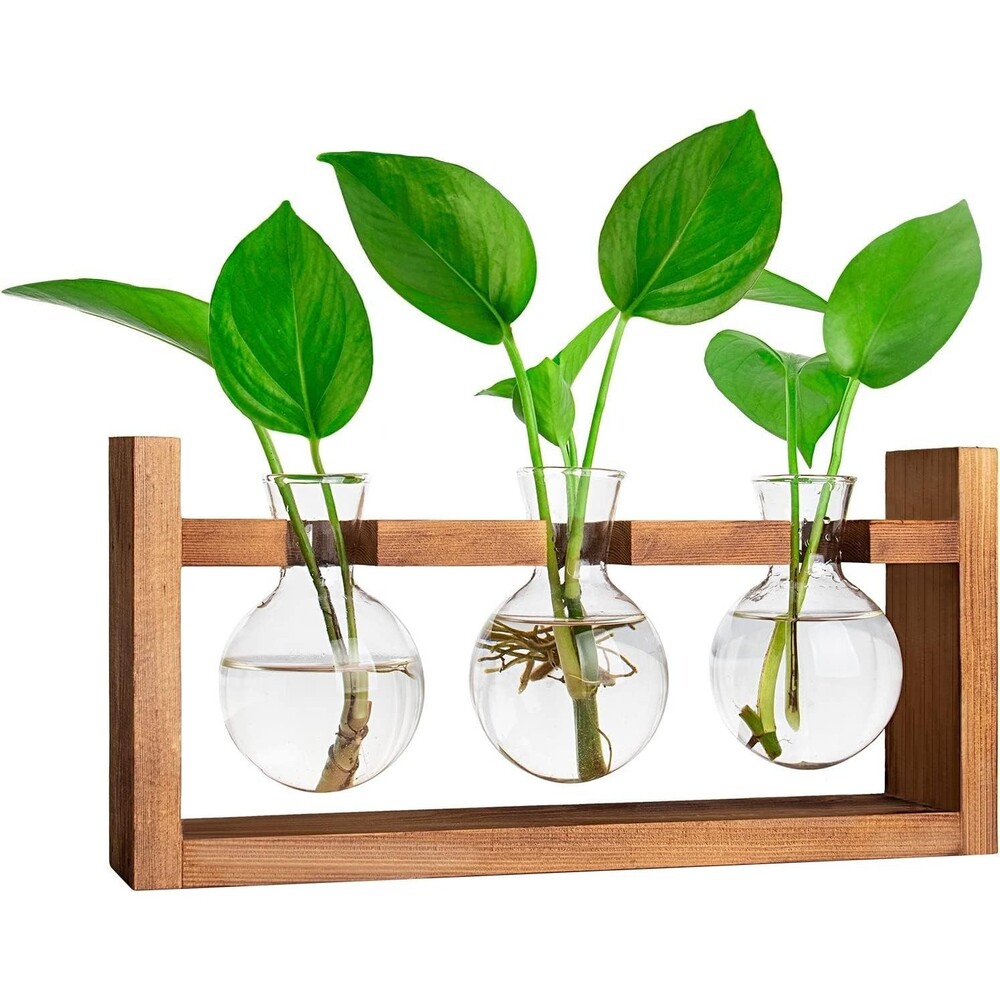 Propagation Station, Plants Terrarium, Plants Lover Gifts for Women,Plant Cuttin